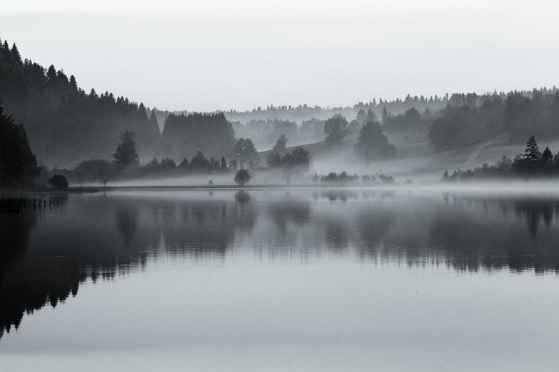 2018_05_06_Jura (0057_b-w).jpg - Lac d'Etival, Jura (Mai 2018)